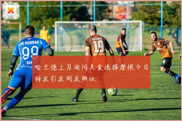 哈兰德上月询问美食选择摩根今日转发引发网友热议