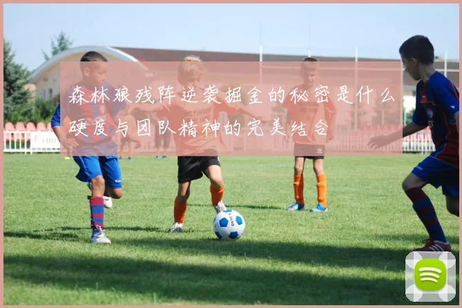 森林狼残阵逆袭掘金的秘密是什么硬度与团队精神的完美结合